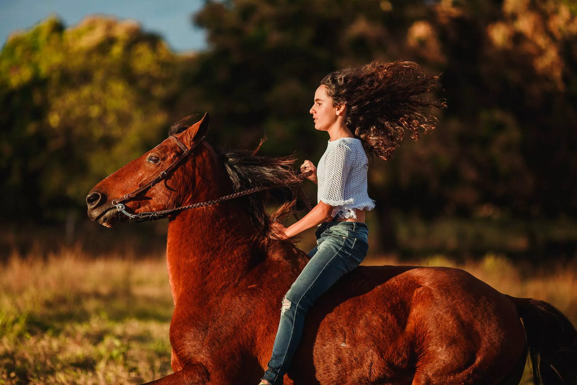 Girl horse riding